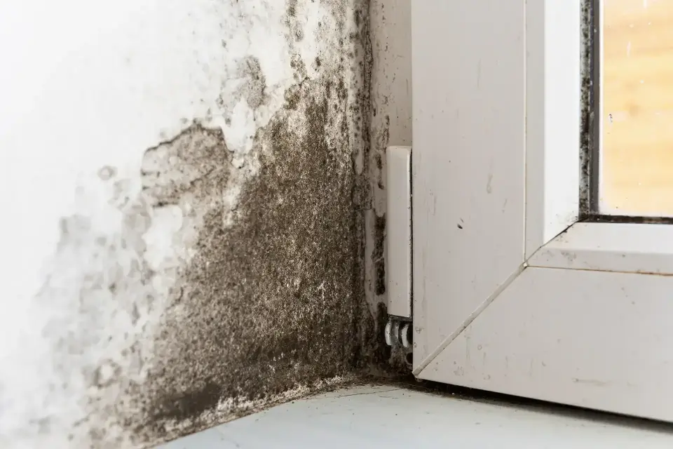 Total Property Restoration: Leading Water Damage Restoration Company In Fort Worth — Fort Worth, TX