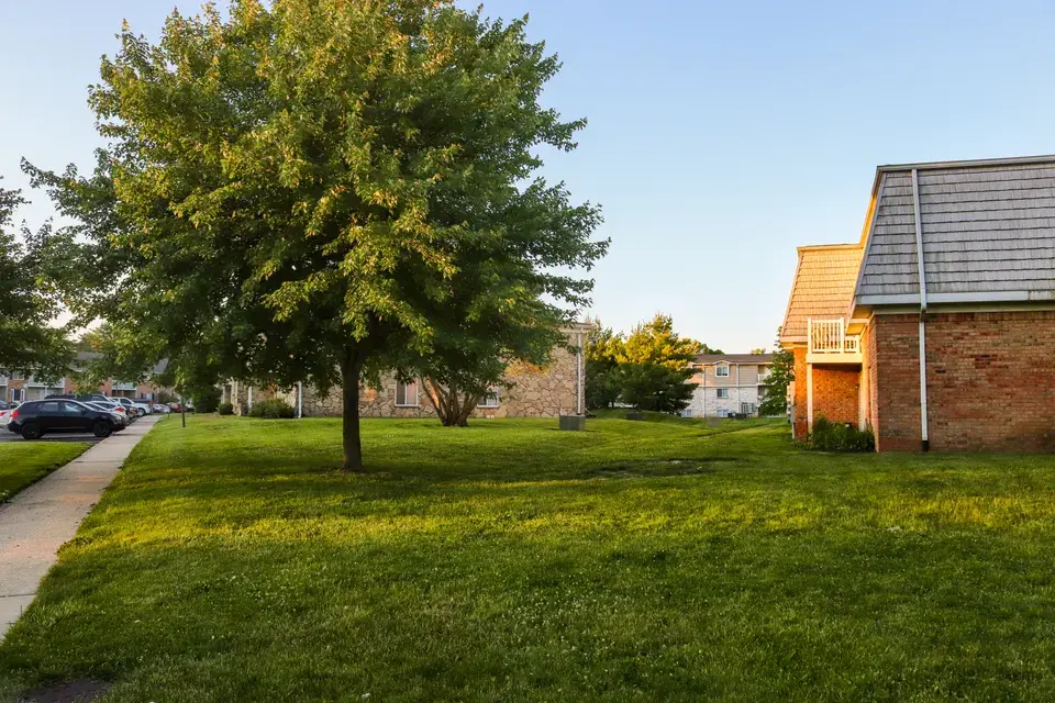 water damage restoration River Oaks